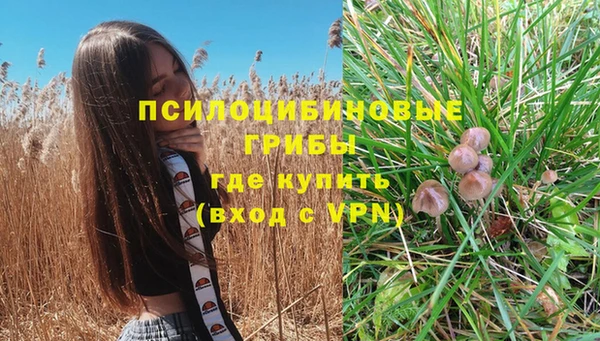 соль ск Заволжск
