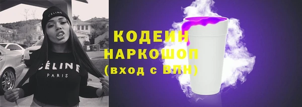 гидра Ельня