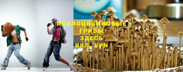 стафф Алексеевка